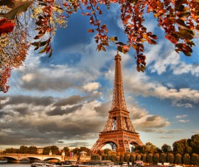 Eiffel Tower with autumn leaves in Paris Stock Photo 06