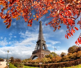 Eiffel Tower with autumn leaves in Paris Stock Photo 09