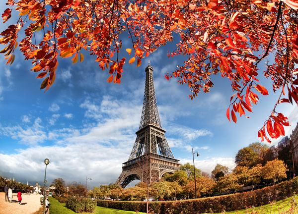 Eiffel Tower with autumn leaves in Paris Stock Photo 09