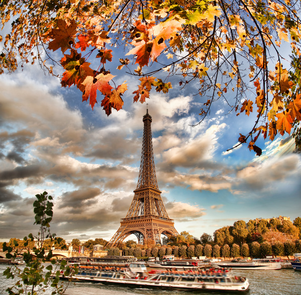 Eiffel Tower with autumn leaves in Paris Stock Photo 10