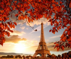 Eiffel Tower with autumn leaves in Paris Stock Photo 11