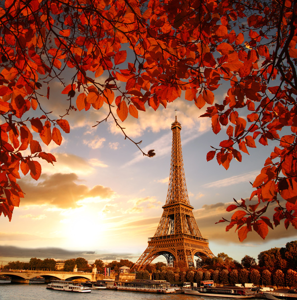 Eiffel Tower with autumn leaves in Paris Stock Photo 11
