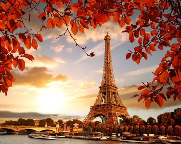 Eiffel Tower with autumn leaves in Paris Stock Photo 12