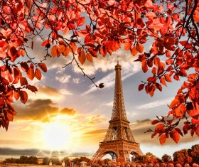 Eiffel Tower with autumn leaves in Paris Stock Photo 13