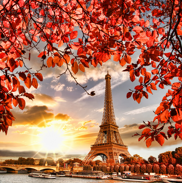 Eiffel Tower with autumn leaves in Paris Stock Photo 13