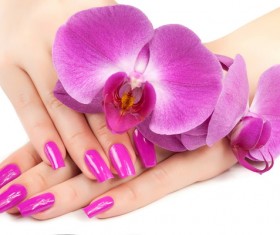 Fashion nail and orchids Stock Photo