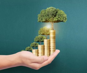 Financial cash cow Stock Photo