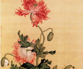 Flower and Bird Stock Photo