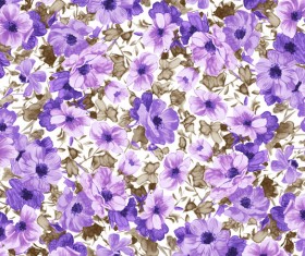 Flowers and flowers HD picture