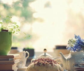 Fresh flowers with blurred background Stock Photo