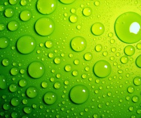 Fresh green water droplets HD picture
