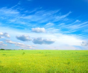 Fresh nature Stock Photo