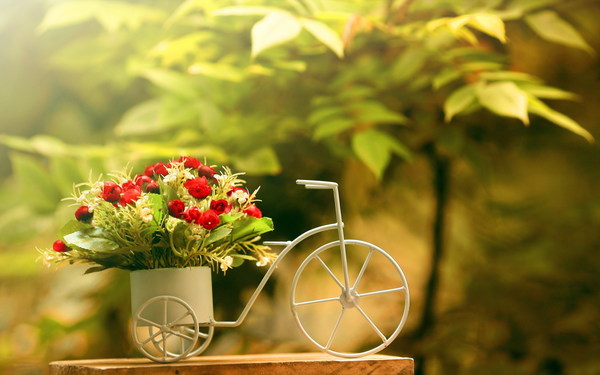 Fresh potted flowers Stock Photo