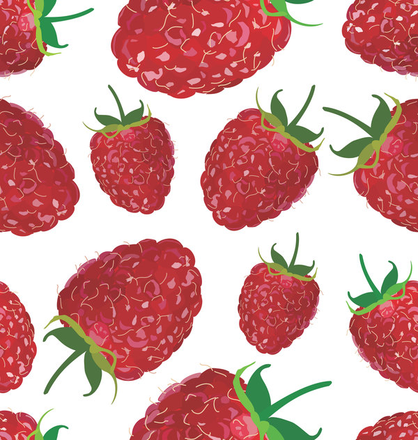 Fresh raspberry seamless pattern vector material