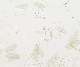 Gray fresh leaf background Stock Photo