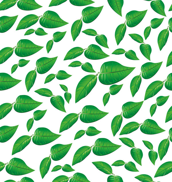 Green leaves seamless pattern vectors