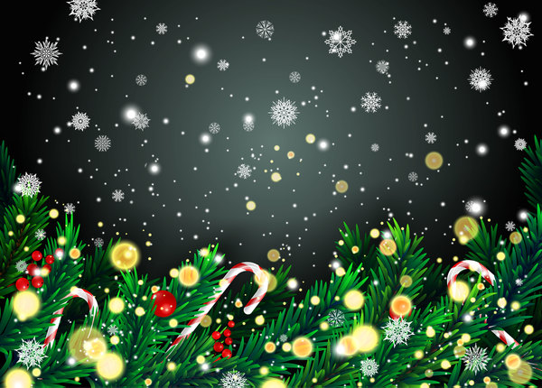 Green pine needles with snowflake background vector 01