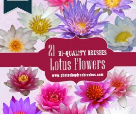 High-Res Lotus Flower photoshop brushes