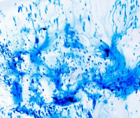 Ice background Stock Photo 07