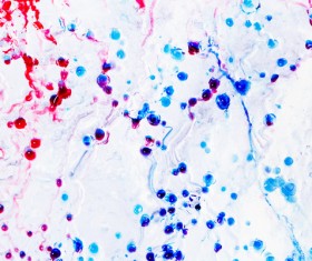 Ice background Stock Photo 08