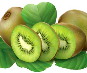 Kiwi fruits vector