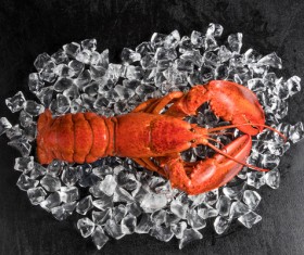 Lobster lying on the ice Stock Photo