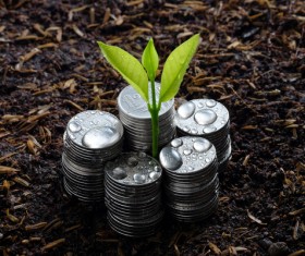 Money growth Stock Photo 03