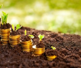 Money growth Stock Photo 04