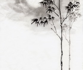 Moonlight under the bamboo