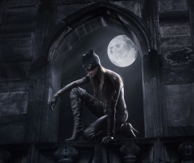 Night Catwoman Stock Photo