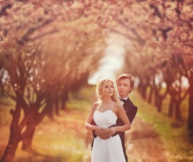 Outdoor romantic wedding HD picture