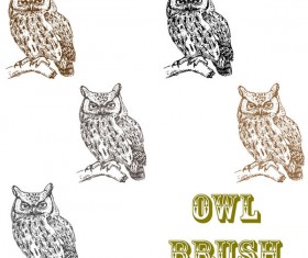 Owl photoshop brushes