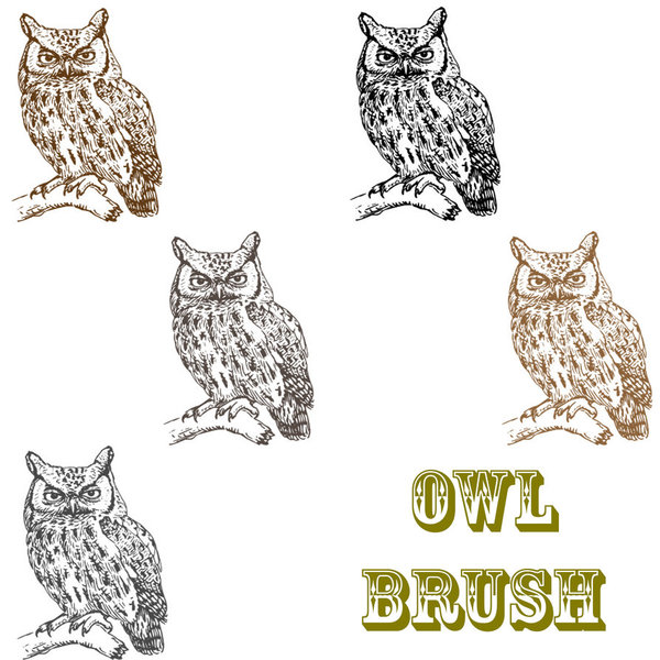 Owl photoshop brushes