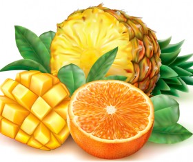Pineapple mango orange vector