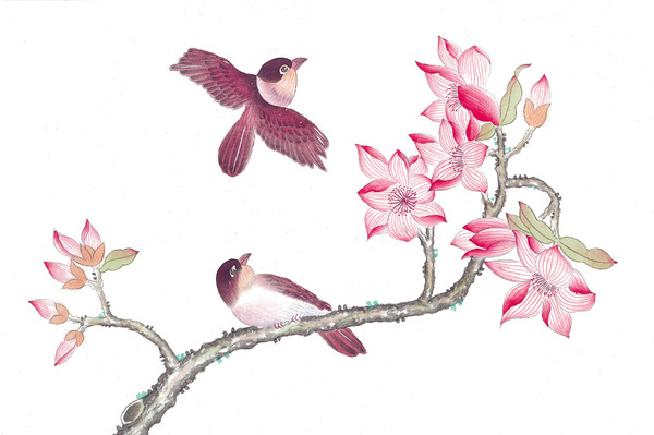 Pink flowers and birds Stock Photo