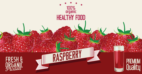 Raspberry retro poster template vectors