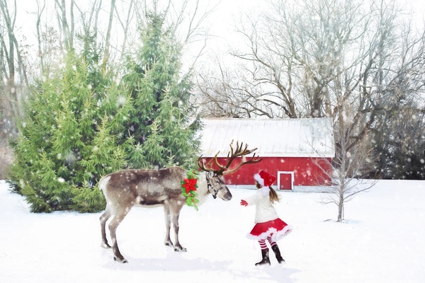 Reindeer with little girl HD picture