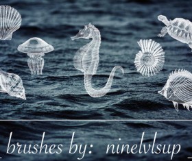 Sea life sampler photoshop brushes