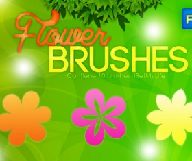 Shining flower  photoshop brushes