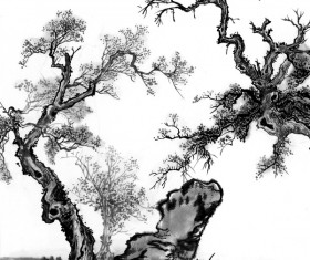 Stone under the old tree