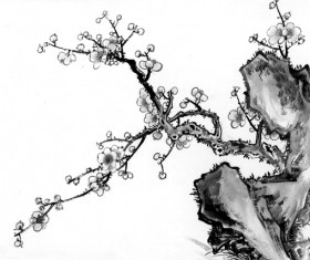 Stones and blooming plum blossoms