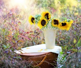 Sunflower, Vase, Bouquet HD picture