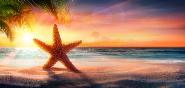 Sunset on the beach of the starfish Stock Photo