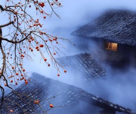 Town fog Stock Photo