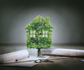 Tree house with drawings Stock Photo