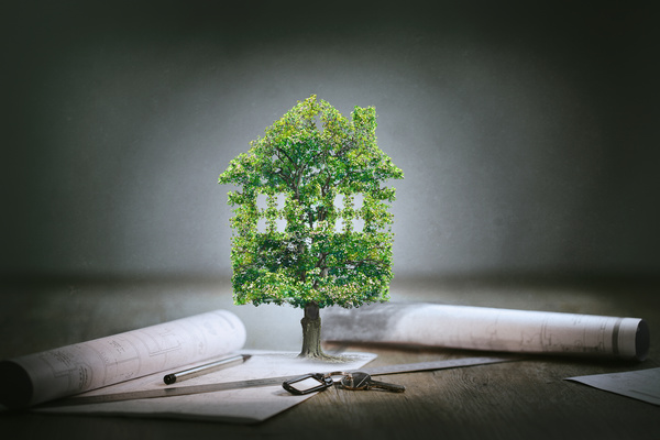 Tree house with drawings Stock Photo