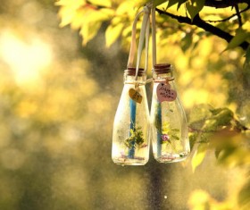 Vintage tree wishing bottle HD picture