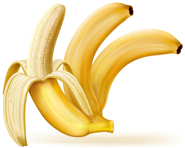 Whole and peeled bananas vector