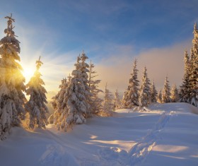 Winter landscape with A dawn in mountains Stock Photo 01