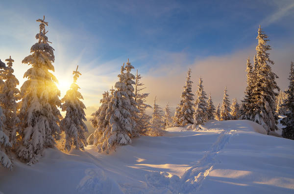 Winter landscape with A dawn in mountains Stock Photo 01